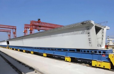 Universal admixture (NH-605)